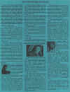 issue01sample-07.jpg (554386 bytes)